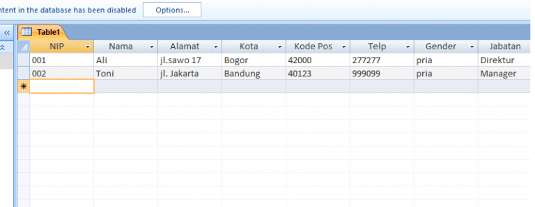 Fungsi Dan Tutorial Membuat Database Dengan Ms Acces