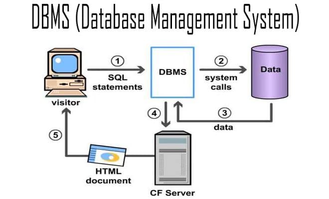 Komponen Dbms Database Management System - Vrogue