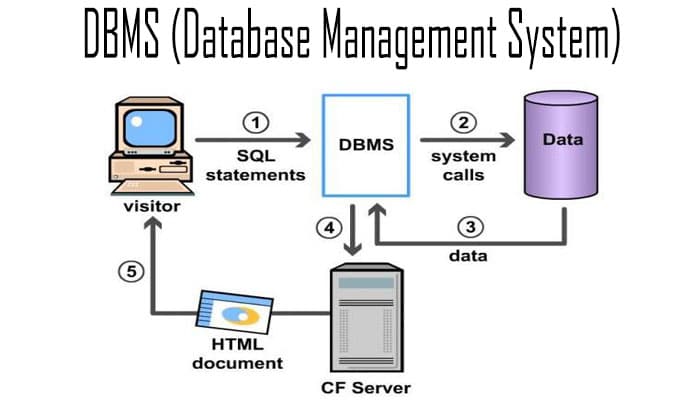 Pengertian DBMS, Fungsi, Tujuan, Macam, Kelebihan, Kekurangan Dan ...