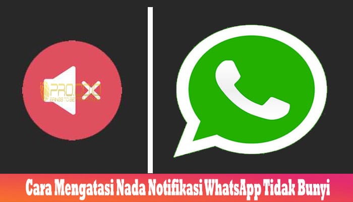 Cara Mengatasi Nada Notifikasi Whatsapp Tidak Bunyi Di Hp Android 8535